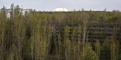 Радиоактивные частицы Чернобыля почти не изменились за 40 лет. Это хорошо или плохо? Фото.