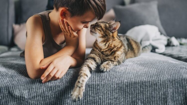 Кошки и их хозяева связаны даже на уровне гормонов. Как такое возможно? Кошки и их хозяева связаны даже на уровне гормонов. Как такое возможно? Фото.