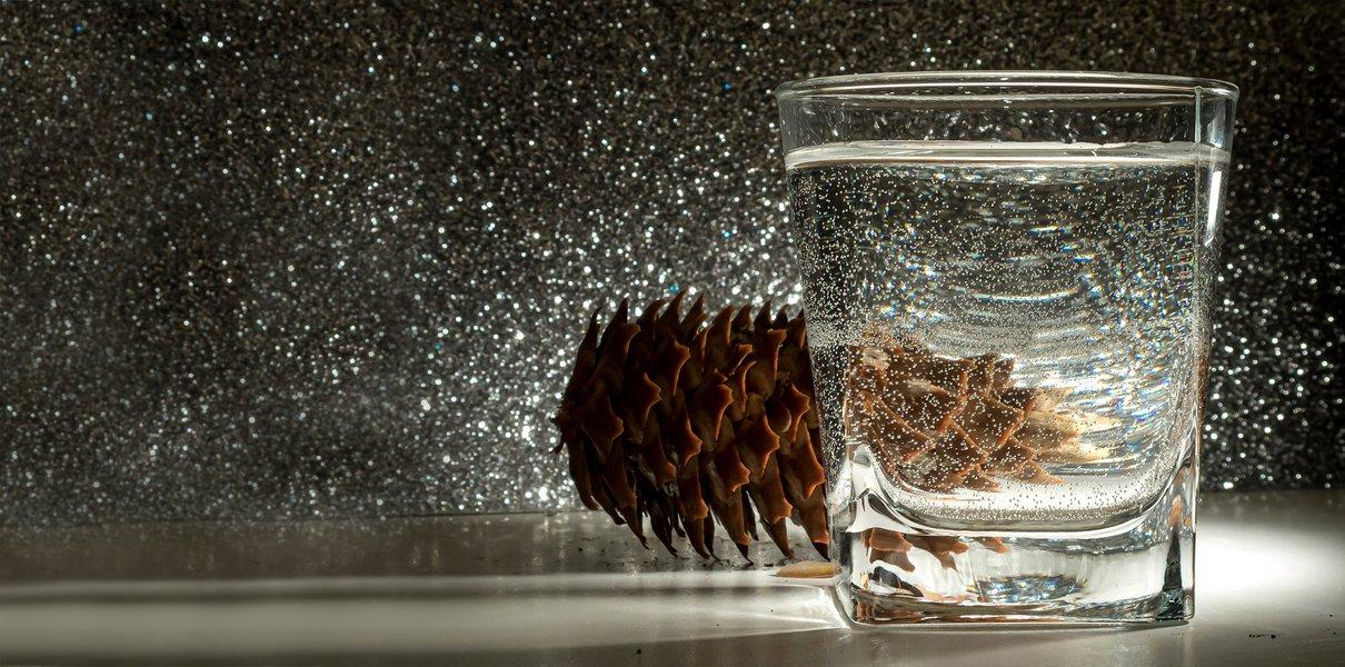Шишка и стакан воды